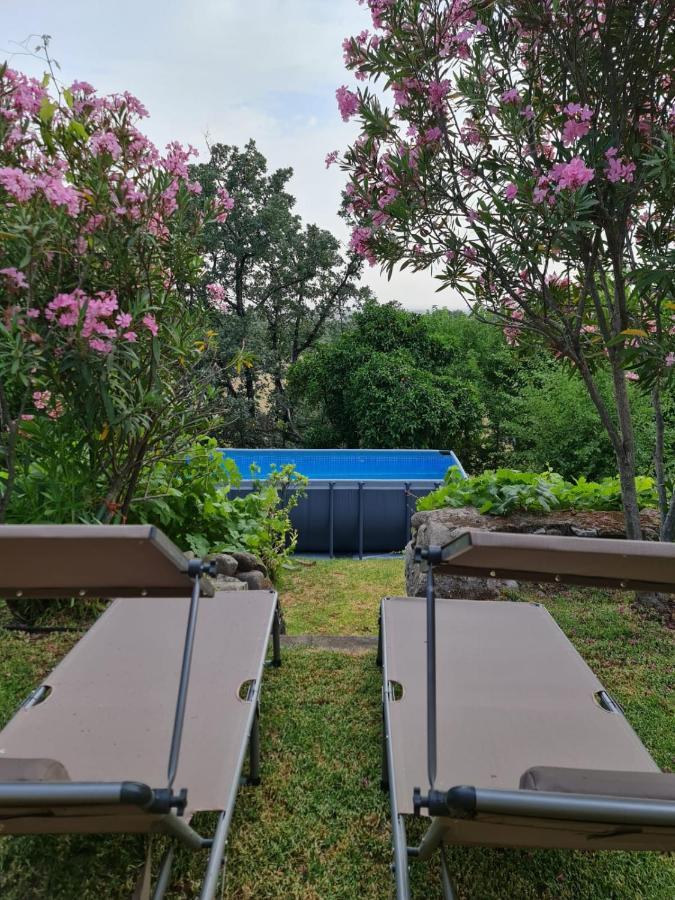 Casa Rural En Candeleda Con Piscina Y Un Maravilloso Jardin Exterior photo